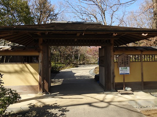 昭和記念公園・日本庭園